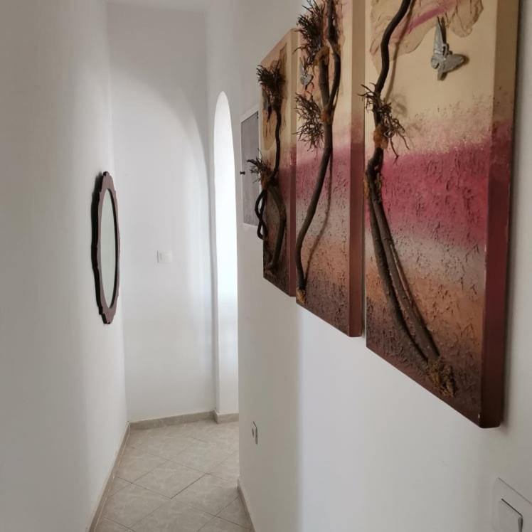 شقة Seaview Family House أركاسا المظهر الخارجي الصورة